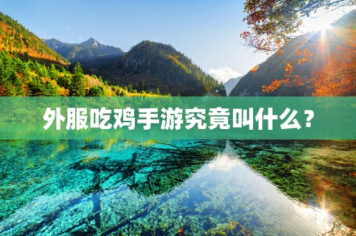 外服吃鸡手游究竟叫什么？