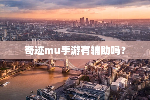 奇迹mu手游有辅助吗？