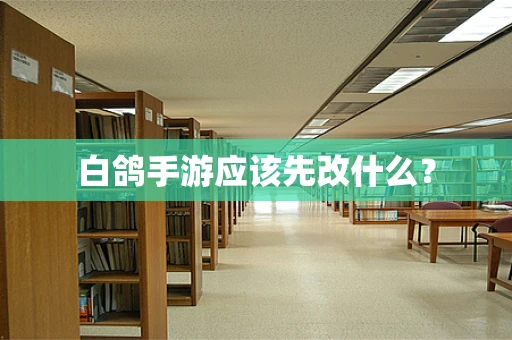 白鸽手游应该先改什么？