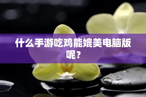 什么手游吃鸡能媲美电脑版呢？