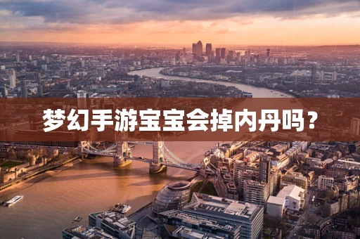 梦幻手游宝宝会掉内丹吗？