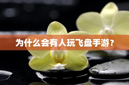 为什么会有人玩飞盘手游？