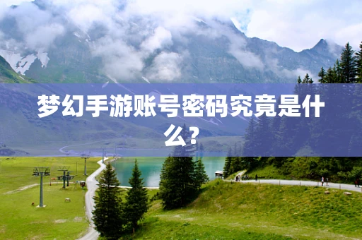 梦幻手游账号密码究竟是什么？