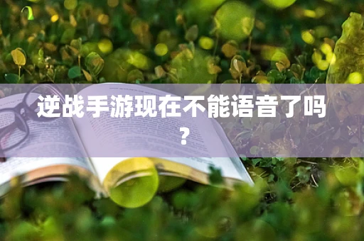 逆战手游现在不能语音了吗？