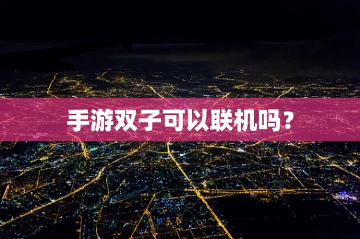 手游双子可以联机吗？