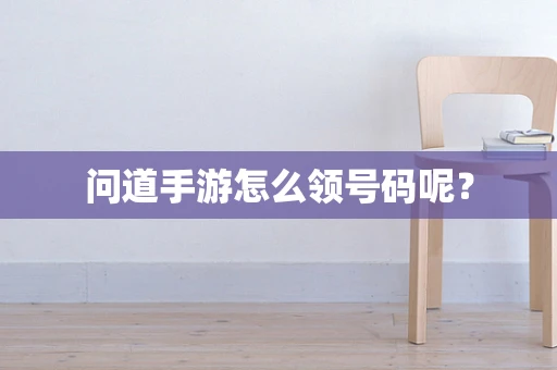 问道手游怎么领号码呢？