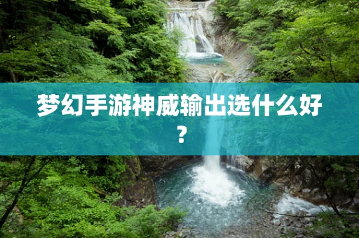 梦幻手游神威输出选什么好？