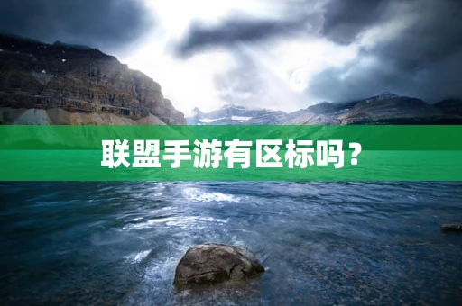 联盟手游有区标吗？