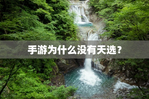手游为什么没有天选？
