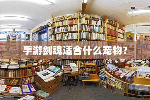 手游剑魂适合什么宠物？