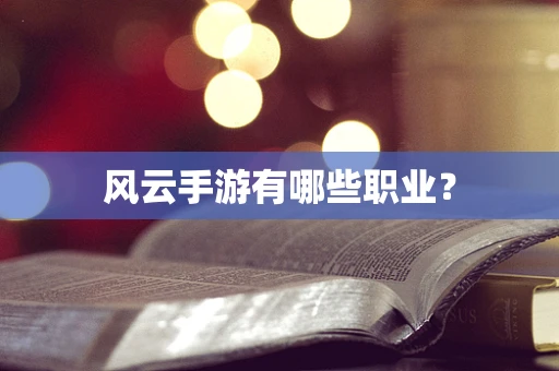 风云手游有哪些职业？