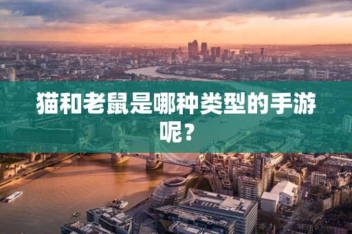 猫和老鼠是哪种类型的手游呢？