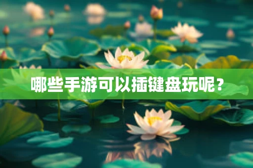 哪些手游可以插键盘玩呢？