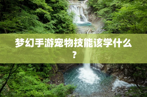 梦幻手游宠物技能该学什么？