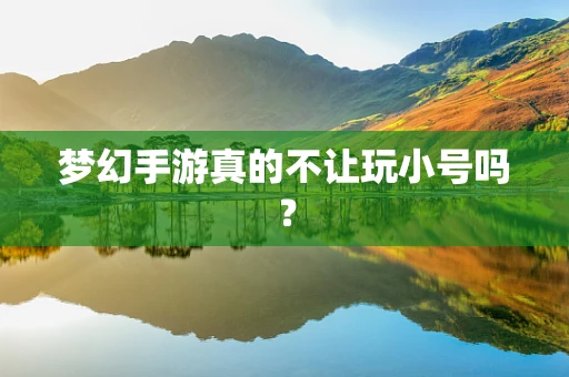 梦幻手游真的不让玩小号吗？