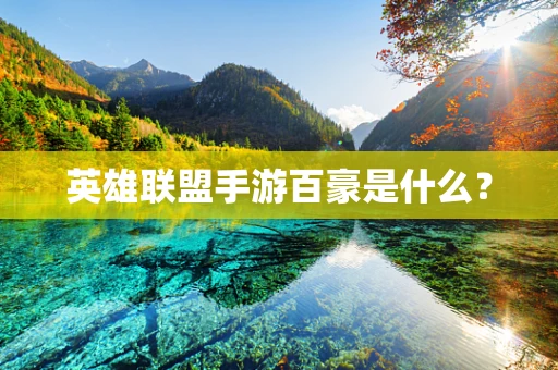 英雄联盟手游百豪是什么？