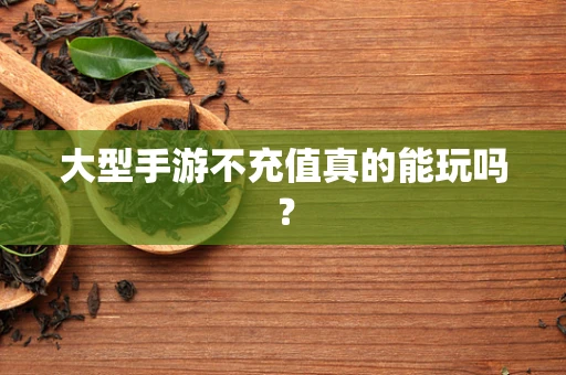 大型手游不充值真的能玩吗？