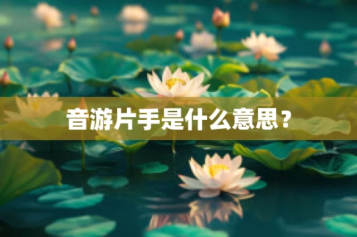 音游片手是什么意思？