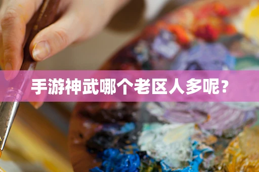 手游神武哪个老区人多呢？