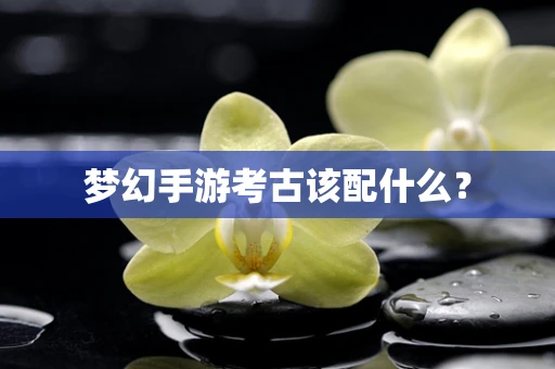 梦幻手游考古该配什么？