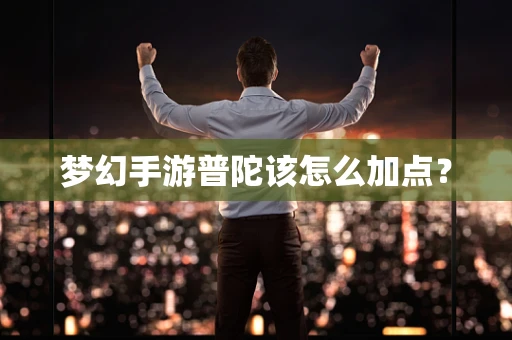 梦幻手游普陀该怎么加点？