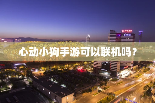 心动小狗手游可以联机吗？