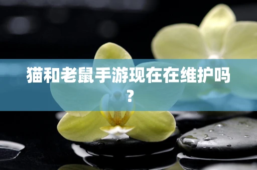 猫和老鼠手游现在在维护吗？