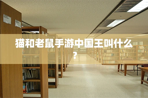猫和老鼠手游中国王叫什么？