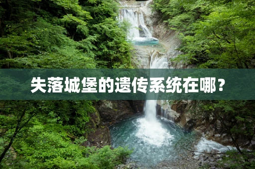 失落城堡的遗传系统在哪？