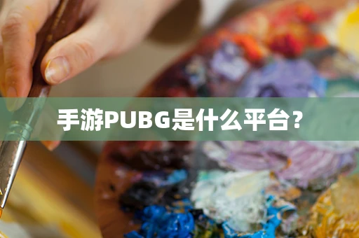 手游PUBG是什么平台？
