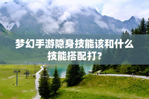 梦幻手游隐身技能该和什么技能搭配打？