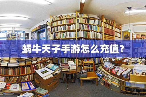 蜗牛天子手游怎么充值？