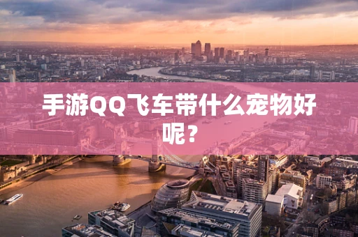 手游QQ飞车带什么宠物好呢？