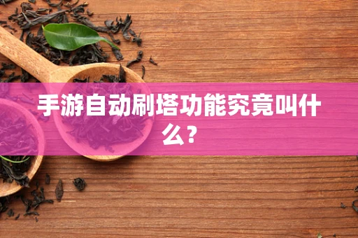 手游自动刷塔功能究竟叫什么？