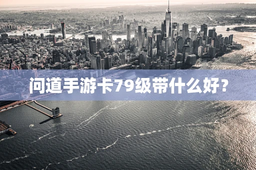 问道手游卡79级带什么好？