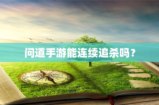 问道手游能连续追杀吗？