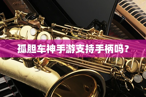 孤胆车神手游支持手柄吗？