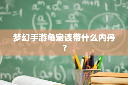 梦幻手游龟宠该带什么内丹？