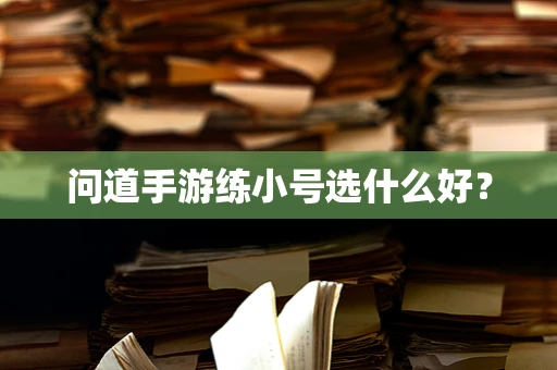 问道手游练小号选什么好？