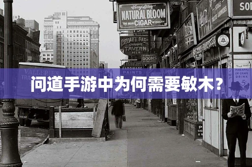 问道手游中为何需要敏木？