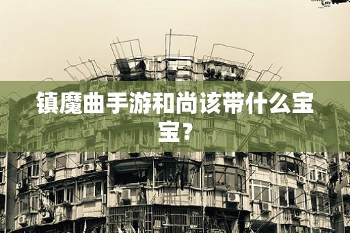 镇魔曲手游和尚该带什么宝宝？