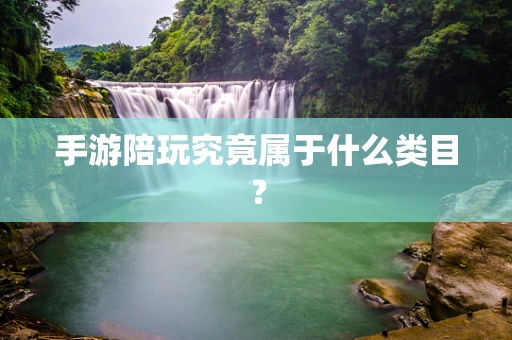 手游陪玩究竟属于什么类目？