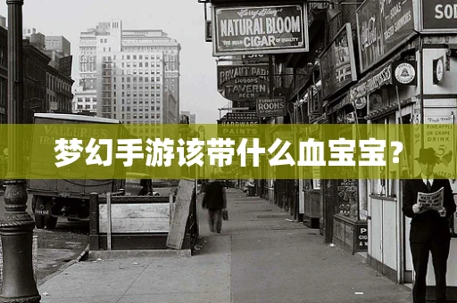 梦幻手游该带什么血宝宝？