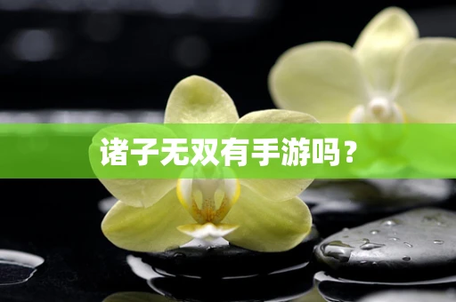 诸子无双有手游吗？