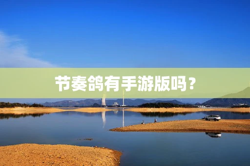 节奏鸽有手游版吗？