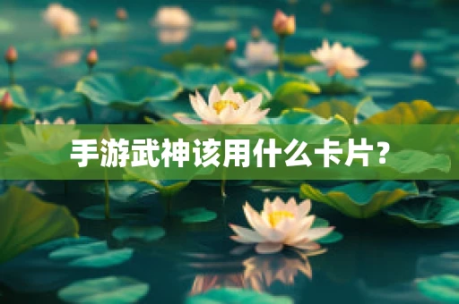 手游武神该用什么卡片？