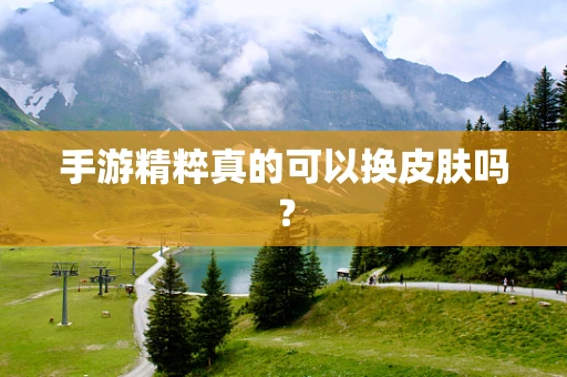 手游精粹真的可以换皮肤吗？