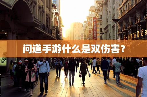 问道手游什么是双伤害？