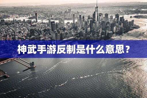 神武手游反制是什么意思？