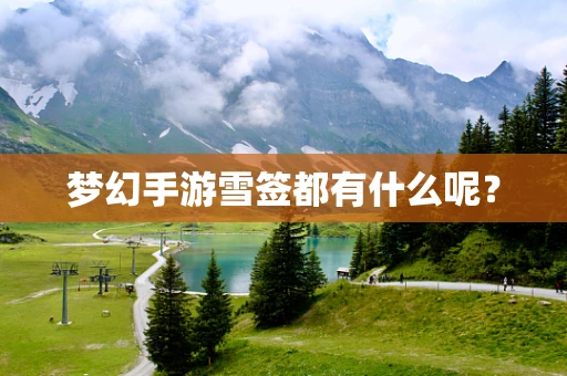 梦幻手游雪签都有什么呢？